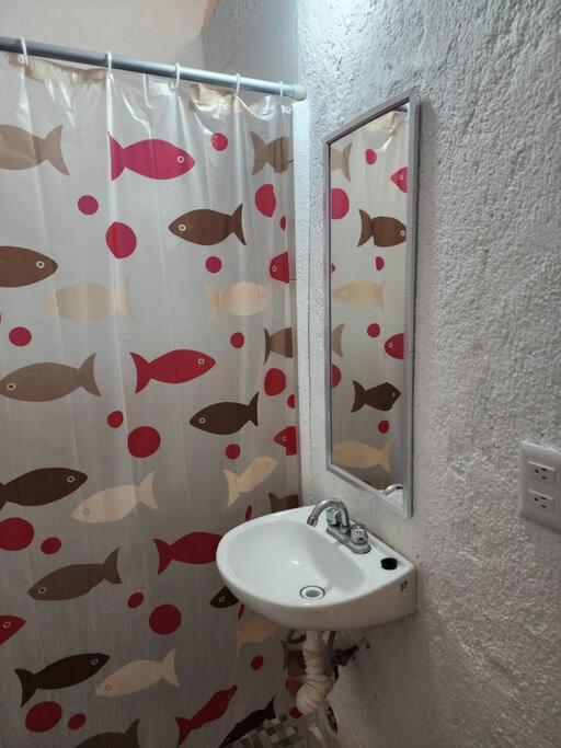 Small Studio Apt 5Min To Dt! 锡瓦塔塔内霍 外观 照片